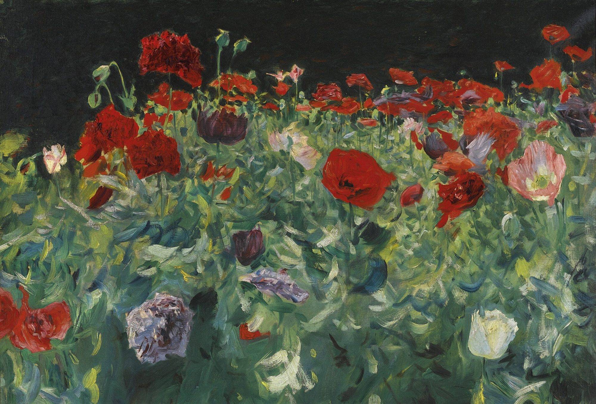 An impressionistic oil painting by John Singer Sargent, titled "Poppies (A Study)," depicting a vibrant field of red and white flowers.