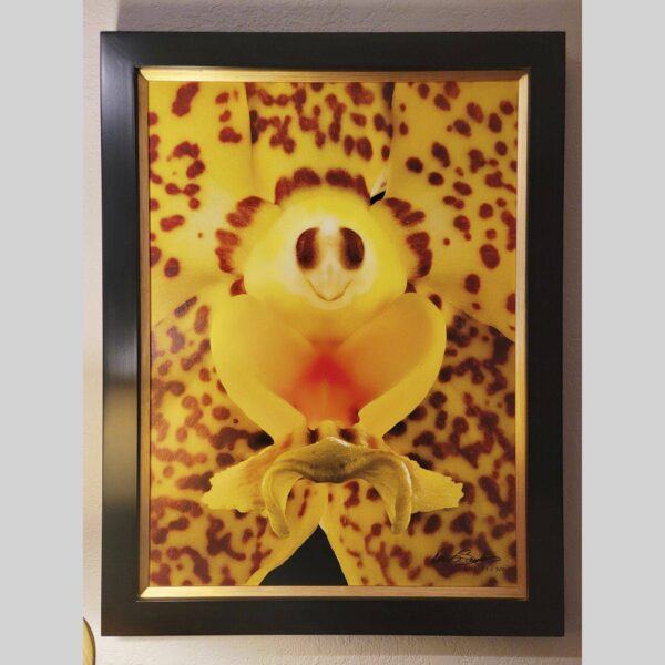 Framed Orchid Study - Documentation - 10 Photographic documentation of a physical, museum-grade orchid study and custom frame by Kevin G. Saunders. This close-up capture verifies the material texture and depth of the manual artistry produced at 107 Blue Star. Physical reality asset; not a digital mockup.