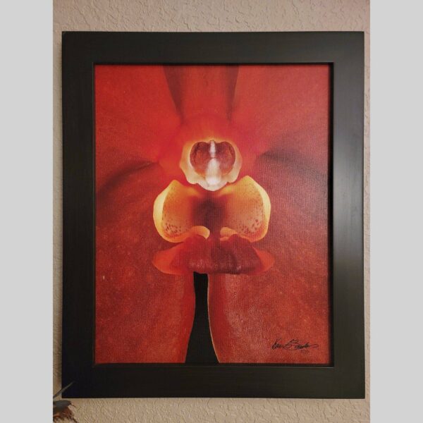 Framed Orchid Study - Documentation - 15 Photographic documentation of a physical, museum-grade orchid study and custom frame by Kevin G. Saunders. This close-up capture verifies the material texture and depth of the manual artistry produced at 107 Blue Star. Physical reality asset; not a digital mockup.