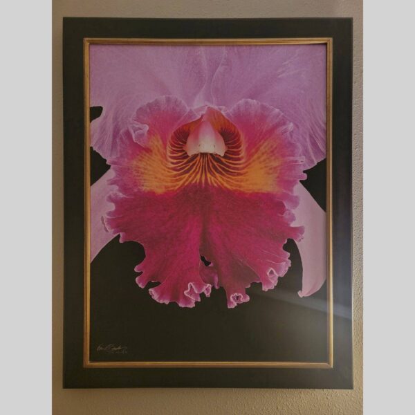 Framed Orchid Study - Documentation - 24 Photographic documentation of a physical, museum-grade orchid study and custom frame by Kevin G. Saunders. This close-up capture verifies the material texture and depth of the manual artistry produced at 107 Blue Star. Physical reality asset; not a digital mockup.