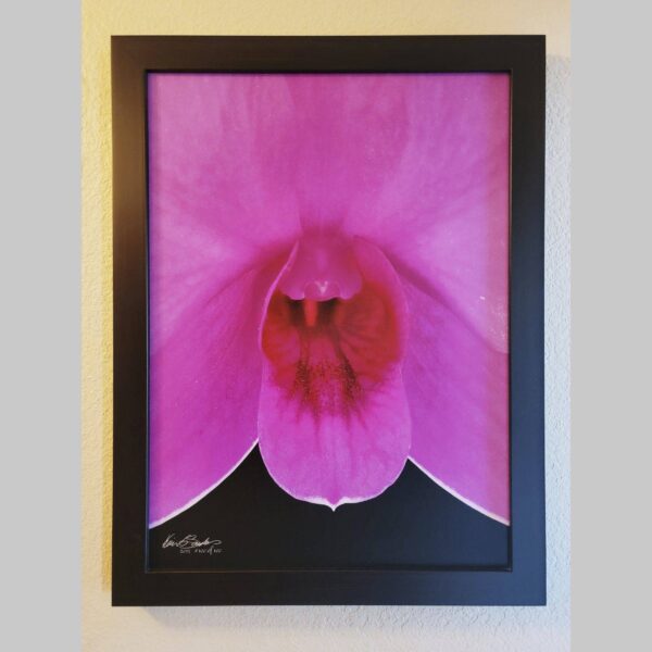 Framed Orchid Study - Documentation - 39 Photographic documentation of a physical, museum-grade orchid study and custom frame by Kevin G. Saunders. This close-up capture verifies the material texture and depth of the manual artistry produced at 107 Blue Star. Physical reality asset; not a digital mockup.