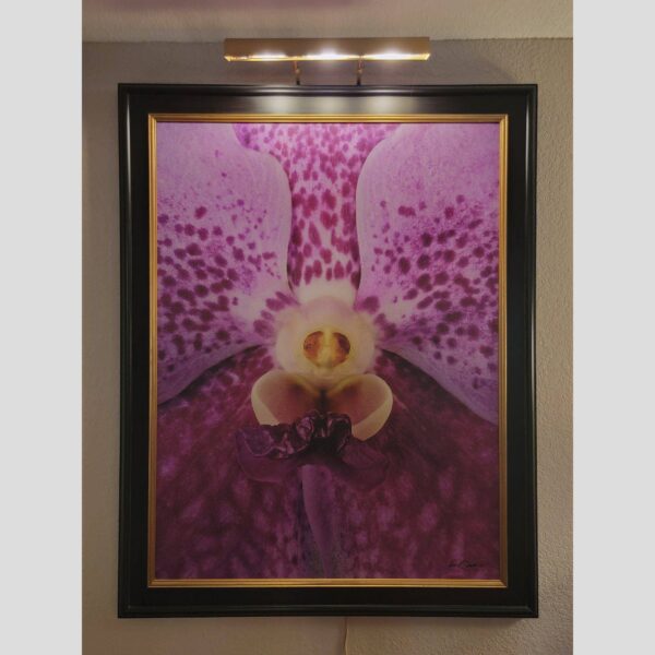 Framed Orchid Study - Documentation - 44 Photographic documentation of a physical, museum-grade orchid study and custom frame by Kevin G. Saunders. This close-up capture verifies the material texture and depth of the manual artistry produced at 107 Blue Star. Physical reality asset; not a digital mockup.