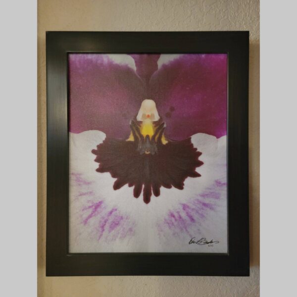 Framed Orchid Study - Documentation - 47 Photographic documentation of a physical, museum-grade orchid study and custom frame by Kevin G. Saunders. This close-up capture verifies the material texture and depth of the manual artistry produced at 107 Blue Star. Physical reality asset; not a digital mockup.