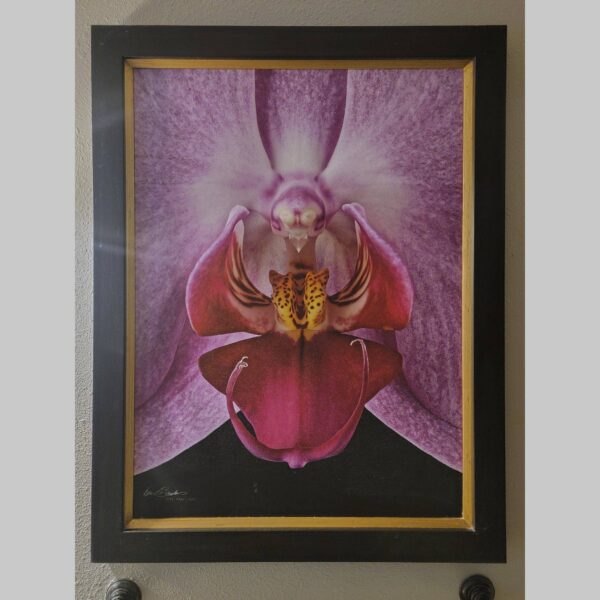 Framed Orchid Study - Documentation - 56 Photographic documentation of a physical, museum-grade orchid study and custom frame by Kevin G. Saunders. This close-up capture verifies the material texture and depth of the manual artistry produced at 107 Blue Star. Physical reality asset; not a digital mockup.