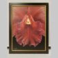 Photographic documentation of a physical, museum-grade orchid study and custom frame by Kevin G. Saunders. This close-up capture verifies the material texture and depth of the manual artistry produced at 107 Blue Star. Physical reality asset; not a digital mockup.
