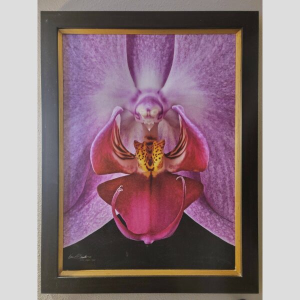 Framed Orchid Study - Documentation - 96 Photographic documentation of a physical, museum-grade orchid study and custom frame by Kevin G. Saunders. This close-up capture verifies the material texture and depth of the manual artistry produced at 107 Blue Star. Physical reality asset; not a digital mockup.