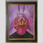 Photographic documentation of a physical, museum-grade orchid study and custom frame by Kevin G. Saunders. This close-up capture verifies the material texture and depth of the manual artistry produced at 107 Blue Star. Physical reality asset; not a digital mockup.