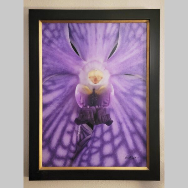 Framed Orchid Study - Documentation - 97 Photographic documentation of a physical, museum-grade orchid study and custom frame by Kevin G. Saunders. This close-up capture verifies the material texture and depth of the manual artistry produced at 107 Blue Star. Physical reality asset; not a digital mockup.