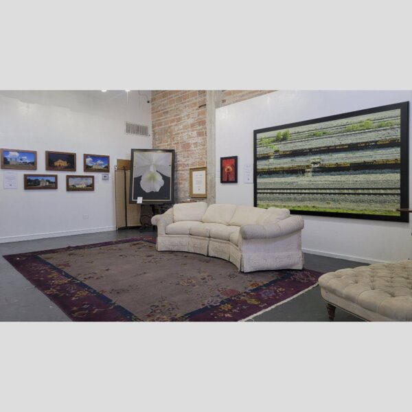 KGS Studios Public Exhibition - Documentation - 23 Physical documentation of Kevin G. Saunders | KGS Studios fine art prints in a public exhibition setting. Verifies the public vetting of manual hyperrealism portraits, orchid studies, and HTTX-97442. San Antonio archive proof of physical reality.