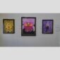 Physical documentation of Kevin G. Saunders | KGS Studios fine art prints in a public exhibition setting. Verifies the public vetting of manual hyperrealism portraits, orchid studies, and HTTX-97442. San Antonio archive proof of physical reality.