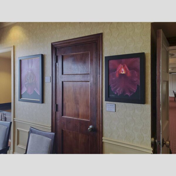 KGS Studios Public Exhibition - Documentation - 105 Physical documentation of Kevin G. Saunders | KGS Studios fine art prints in a public exhibition setting. Verifies the public vetting of manual hyperrealism portraits, orchid studies, and HTTX-97442. San Antonio archive proof of physical reality.