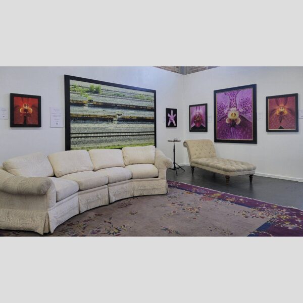 KGS Studios Public Exhibition - Documentation - 111 Physical documentation of Kevin G. Saunders | KGS Studios fine art prints in a public exhibition setting. Verifies the public vetting of manual hyperrealism portraits, orchid studies, and HTTX-97442. San Antonio archive proof of physical reality.