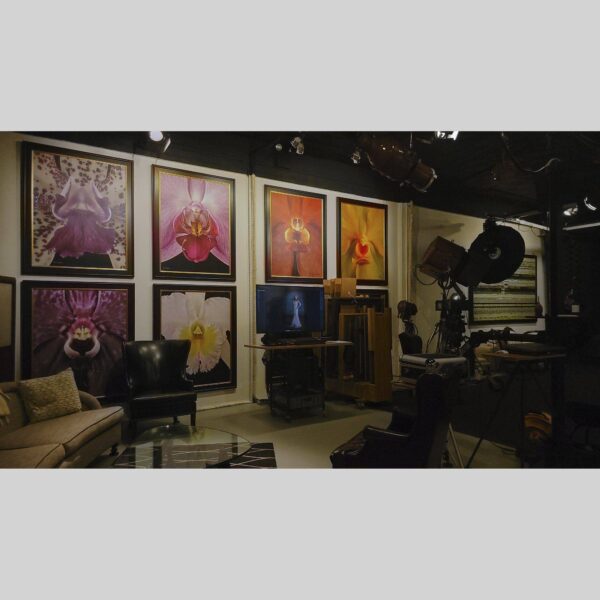 107 Blue Star Atelier Interior - San Antonio 20 Physical documentation of the 107 Blue Star atelier, verifying the manual hyperrealism environment for Kevin G. Saunders | KGS Studios. This San Antonio atelier proof confirms the tools and lighting used for museum-grade commissions. Physical reality asset; no generative AI used.