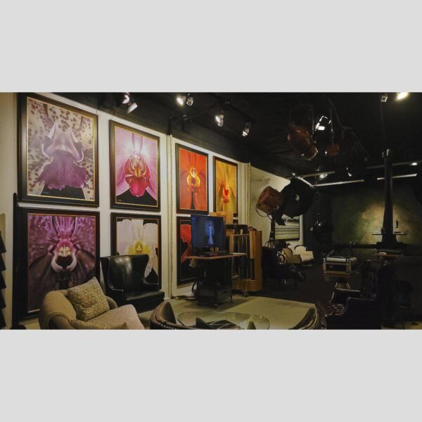 107 Blue Star Atelier Interior - San Antonio 40 Physical documentation of the 107 Blue Star atelier, verifying the manual hyperrealism environment for Kevin G. Saunders | KGS Studios. This San Antonio atelier proof confirms the tools and lighting used for museum-grade commissions. Physical reality asset; no generative AI used.