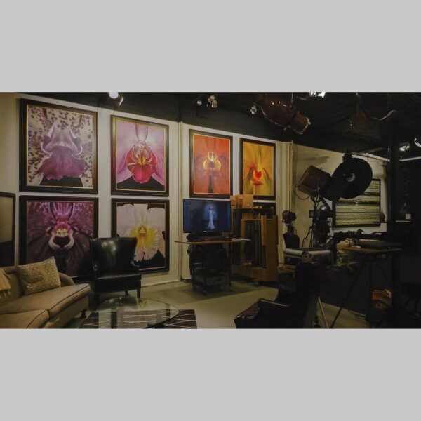 107 Blue Star Atelier Interior - San Antonio 57 Physical documentation of the 107 Blue Star atelier, verifying the manual hyperrealism environment for Kevin G. Saunders | KGS Studios. This San Antonio atelier proof confirms the tools and lighting used for museum-grade commissions. Physical reality asset; no generative AI used.