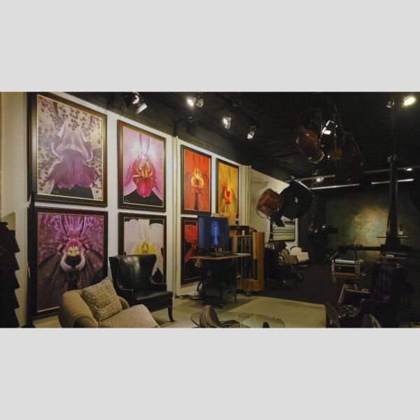 107 Blue Star Atelier Interior - San Antonio 79 Physical documentation of the 107 Blue Star atelier, verifying the manual hyperrealism environment for Kevin G. Saunders | KGS Studios. This San Antonio atelier proof confirms the tools and lighting used for museum-grade commissions. Physical reality asset; no generative AI used.