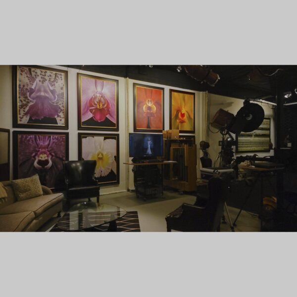 107 Blue Star Atelier Interior - San Antonio 92 Physical documentation of the 107 Blue Star atelier, verifying the manual hyperrealism environment for Kevin G. Saunders | KGS Studios. This San Antonio atelier proof confirms the tools and lighting used for museum-grade commissions. Physical reality asset; no generative AI used.