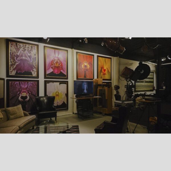 107 Blue Star Atelier Interior - San Antonio 93 Physical documentation of the 107 Blue Star atelier, verifying the manual hyperrealism environment for Kevin G. Saunders | KGS Studios. This San Antonio atelier proof confirms the tools and lighting used for museum-grade commissions. Physical reality asset; no generative AI used.