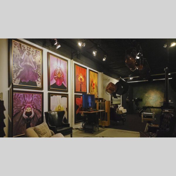 107 Blue Star Atelier Interior - San Antonio 110 Physical documentation of the 107 Blue Star atelier, verifying the manual hyperrealism environment for Kevin G. Saunders | KGS Studios. This San Antonio atelier proof confirms the tools and lighting used for museum-grade commissions. Physical reality asset; no generative AI used.