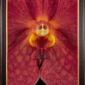 Framed Fine Art Orchid Print Ascda John de Biase Angela Bloom Close by Kevin G Saunders