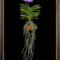 Framed Fine Art Print Vanda Charlene Atkins Plant by Kevin G Saunders