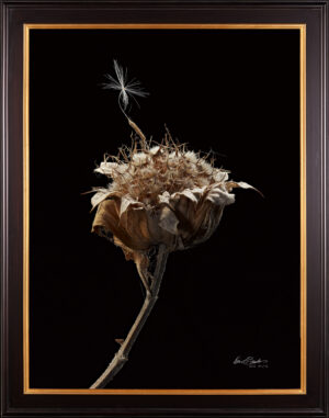 A framed, hyperrealistic print of a dried plant stalk with a single dandelion seed resting on it.